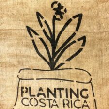 Costa Rica El Bueyerito