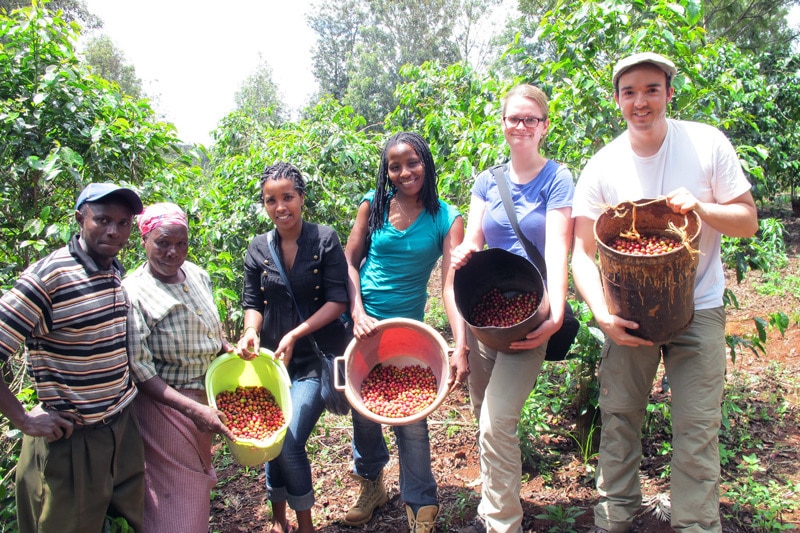 Coffee Profile – Kenya Othaya, Natural