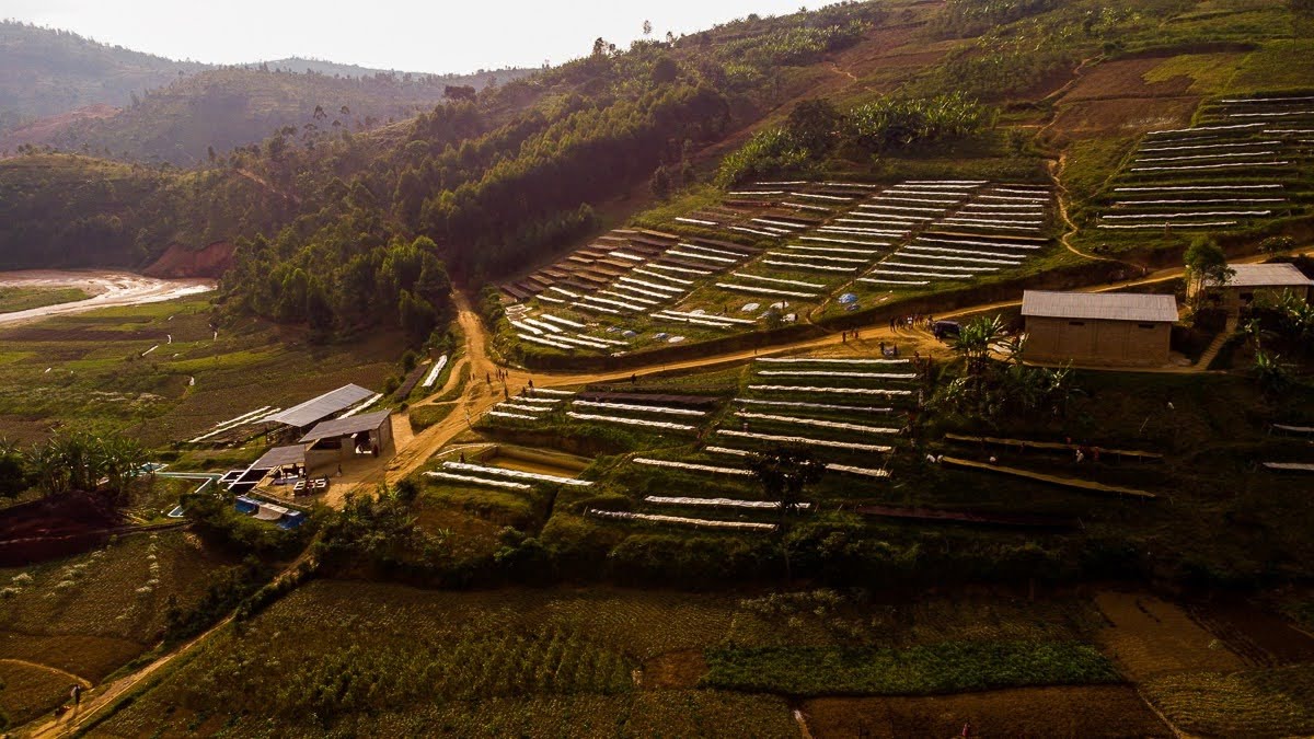 Coffee Profile – Burundi Izuba, Honey Red Bourbon