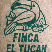 Costa Rica El Tucán